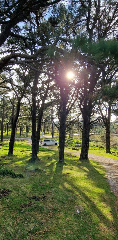 family auf tour camping