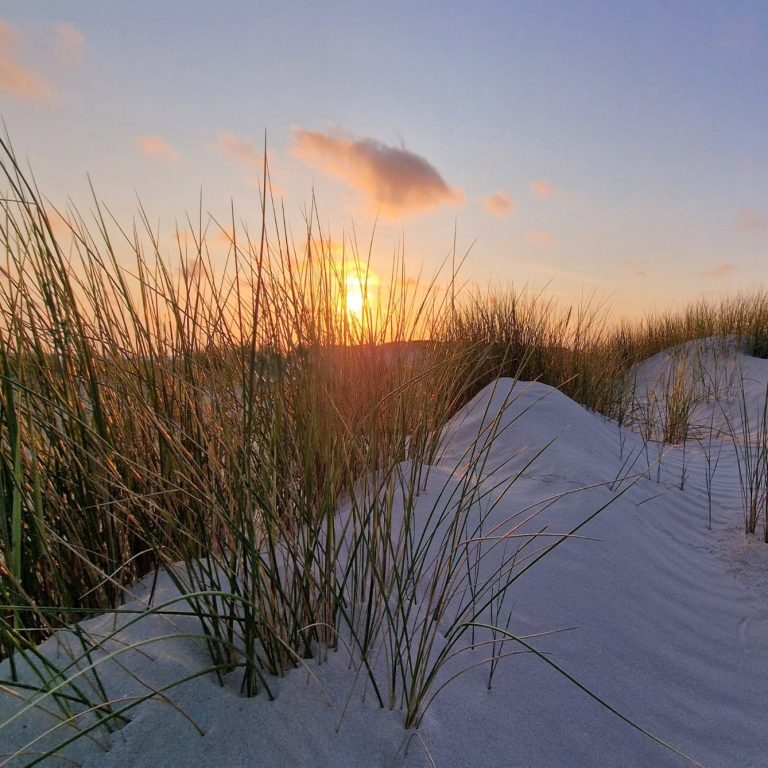 Camping Reise Dänemark